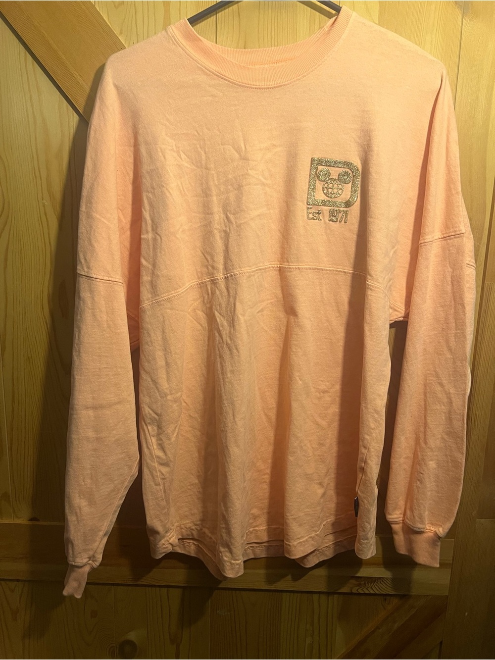 Disney spirt jersey